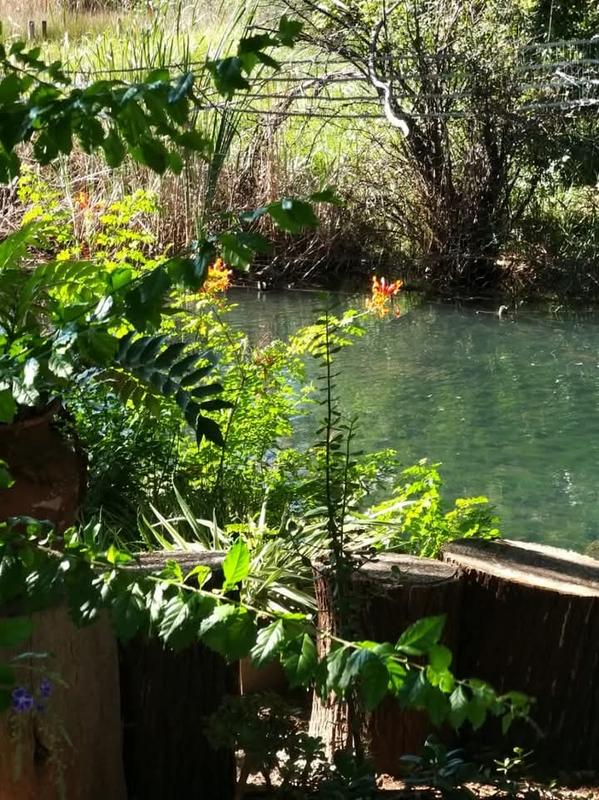 9 Bedroom Property for Sale in Kuruman Northern Cape